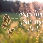 Backlight Summer Photo Set5