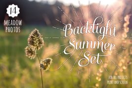 Backlight Summer Photo Set5