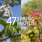 Set of Spring Photos