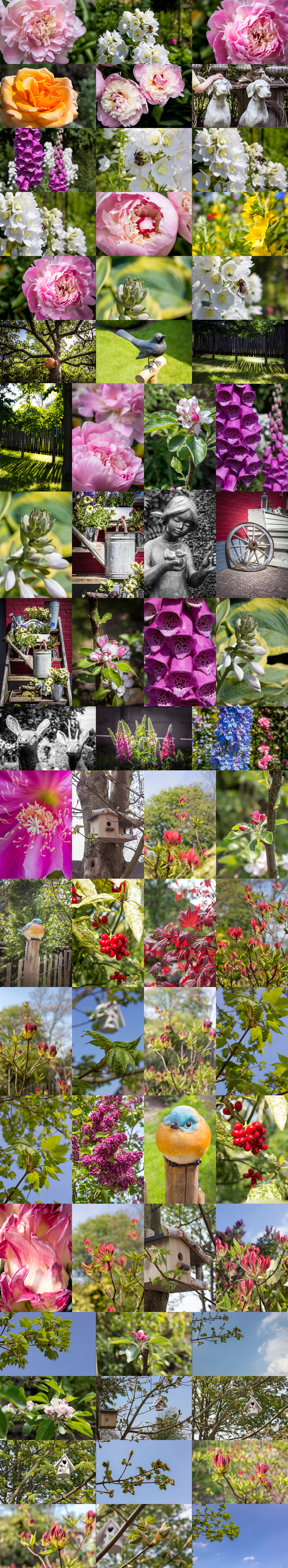Creative Photo Mega Bundle Creative Photo Mega Bundle