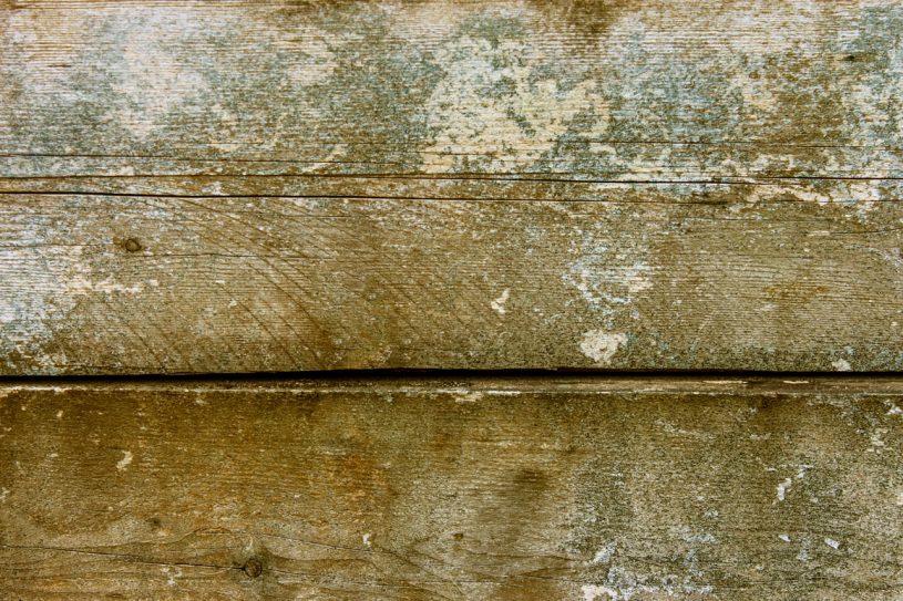 Free Dirty Wood Texture