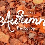 Free Autumn Leaves Texture