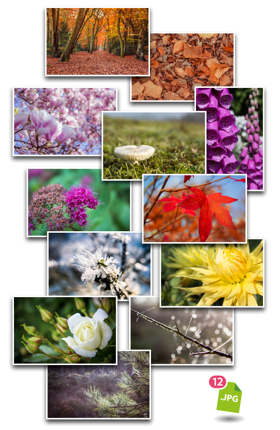 Giveaway Graphic Design Resources – Nature Photos Giveaway Graphic Design Resources - Nature Photos